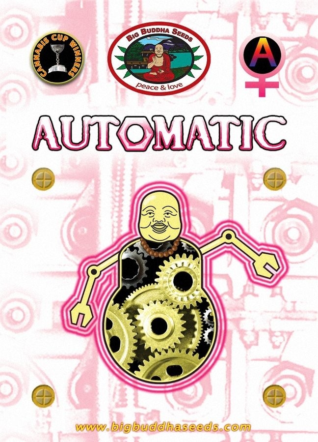 Big Buddha Automatic