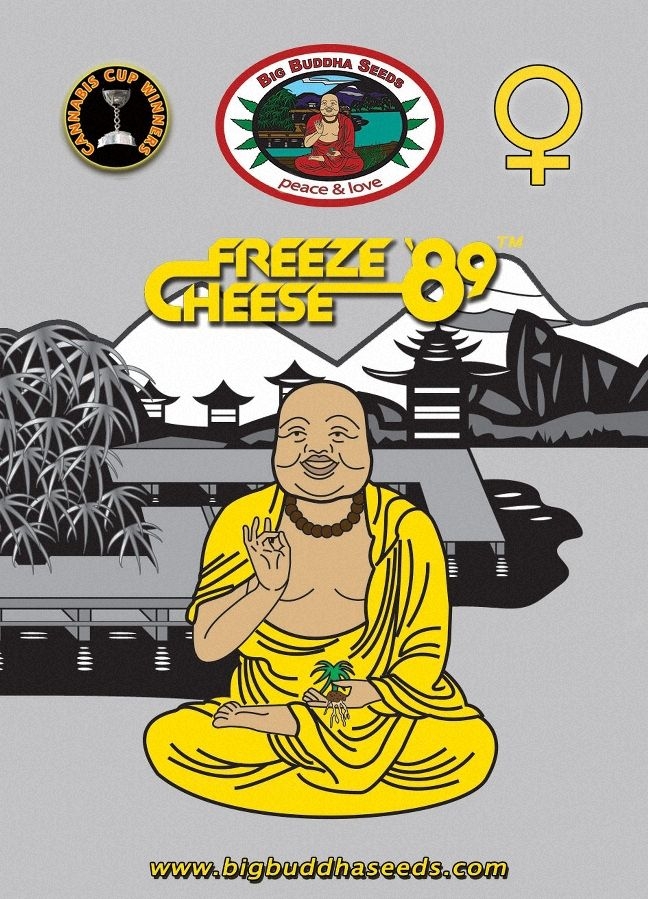 Freeze Cheese