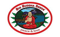 Buddhalato