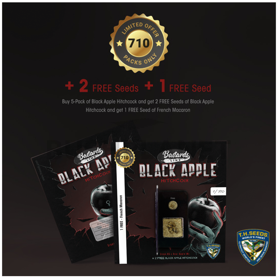 Black Apple Hitchcock Special Pack