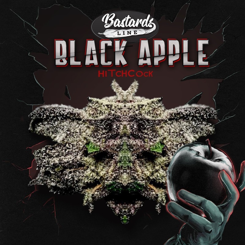 Black Apple Hitchcock Special Pack