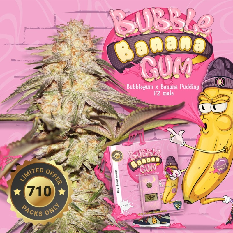 BubbleBananaGum Special Pack