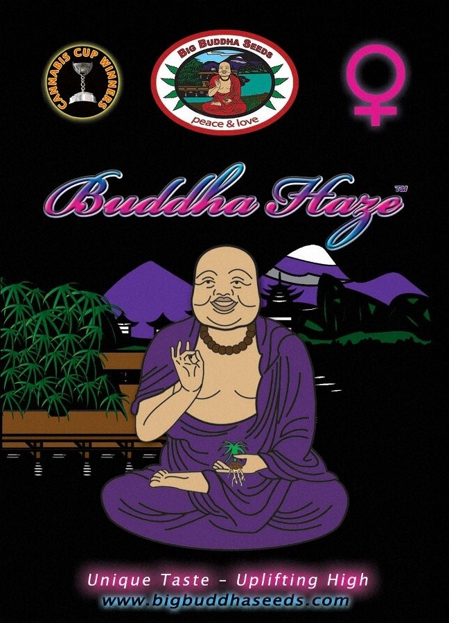 Buddha Haze