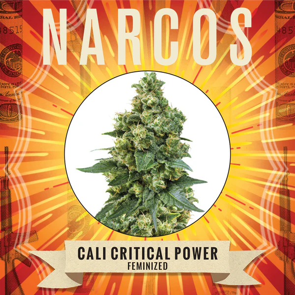 Cali Critical Power