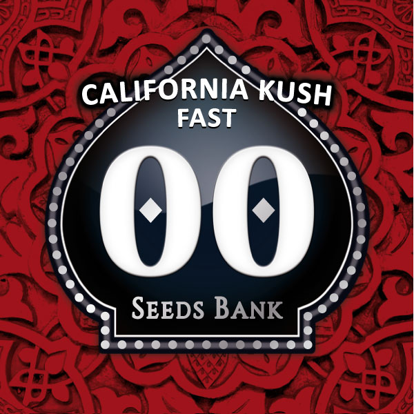 California Kush Fast Version