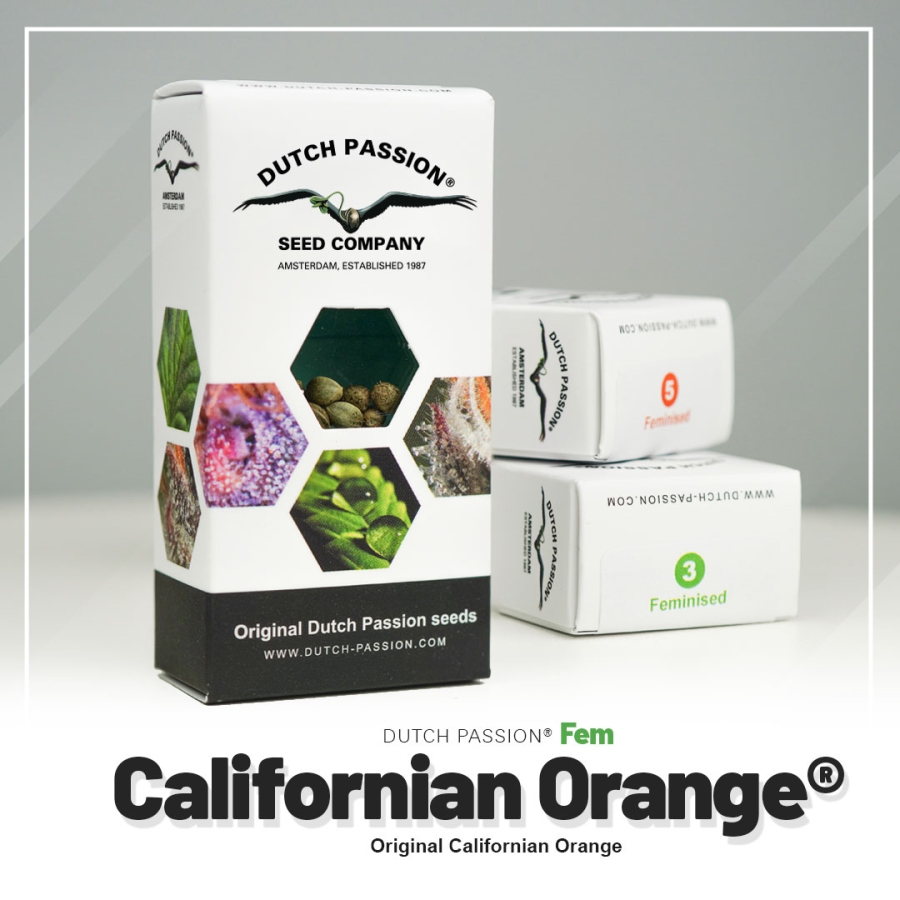 Californian Orange