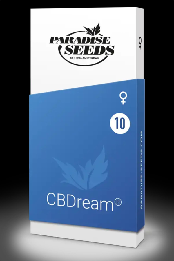 CBDream