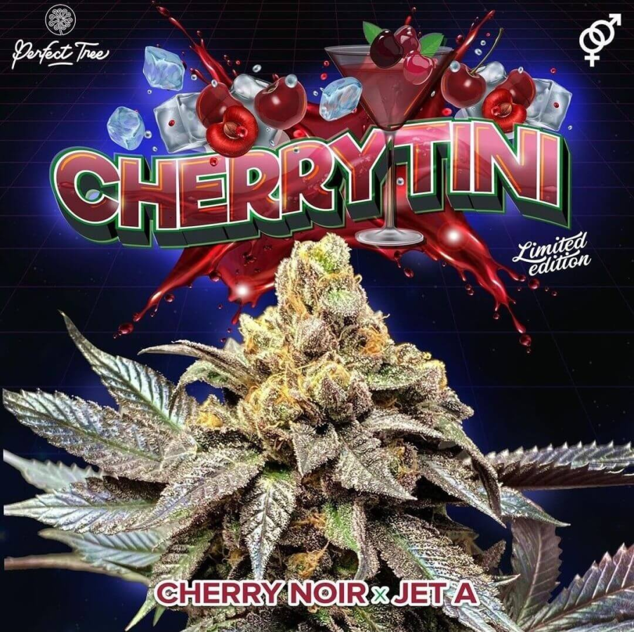 Cherry Tini regulär