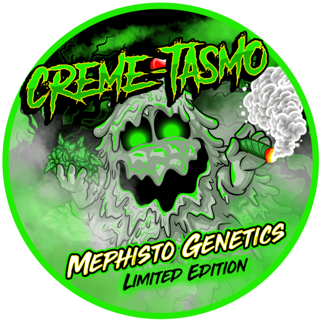 Creme-Tasmo Auto