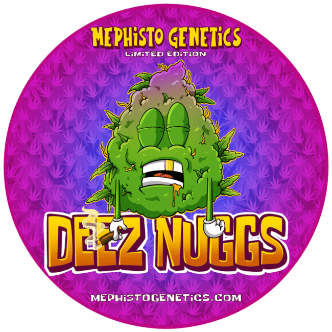 Deez Nuggs Auto