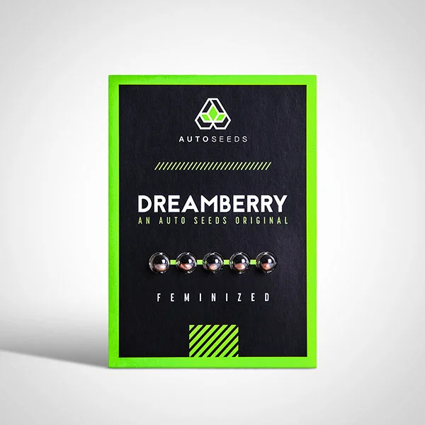 Dreamberry