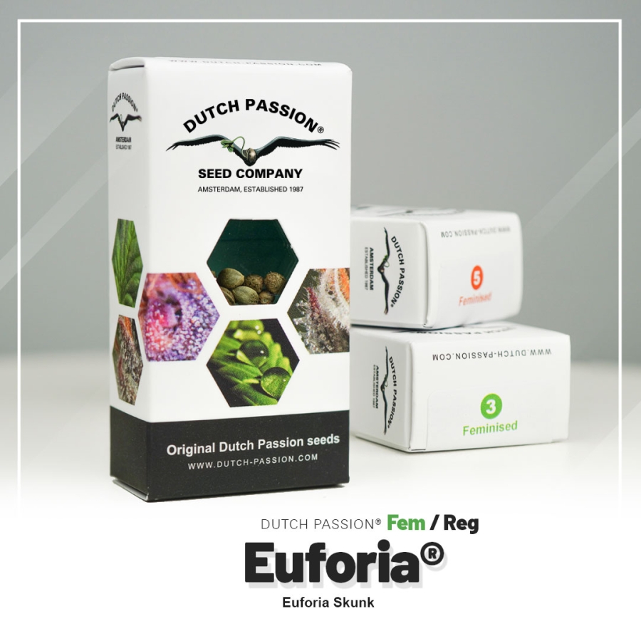 Euforia