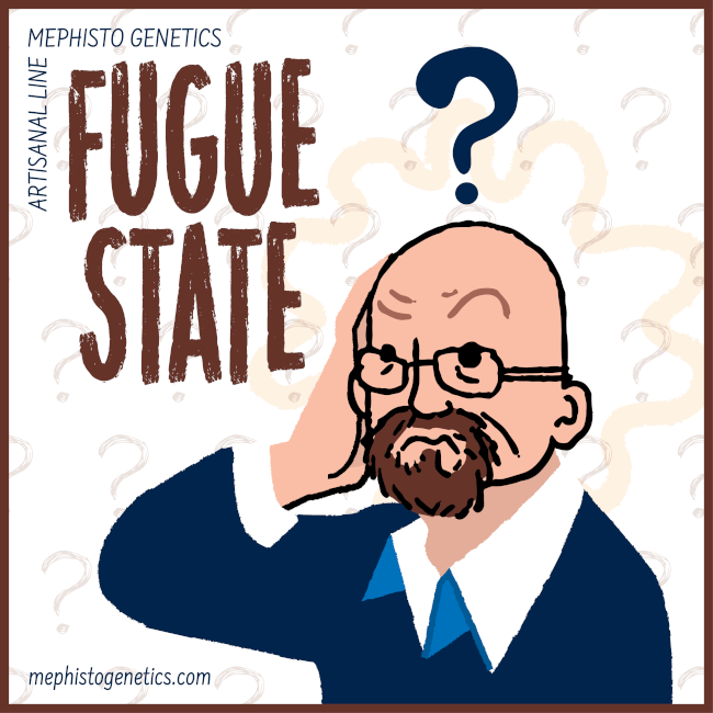 Fugue State Auto