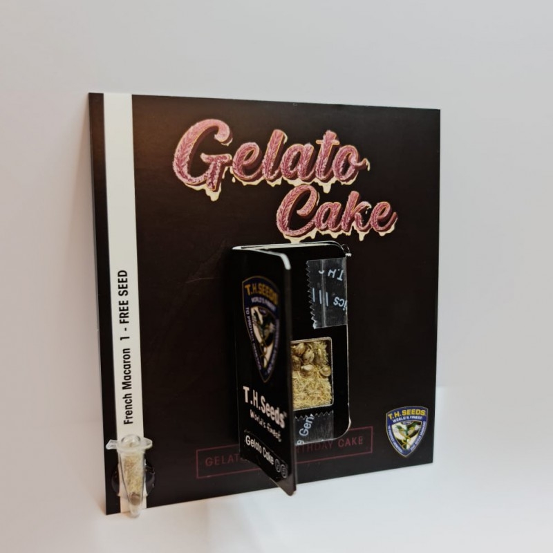 Gelato Cake