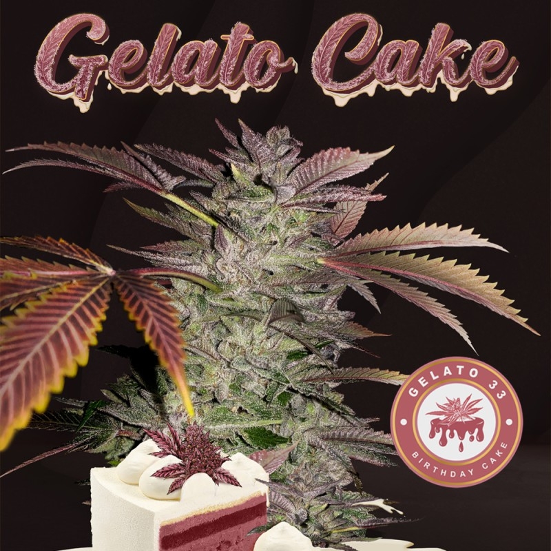 Gelato Cake