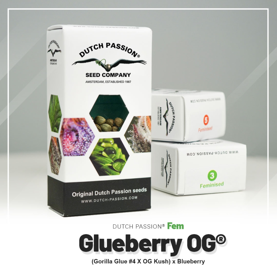 Glueberry O.G.