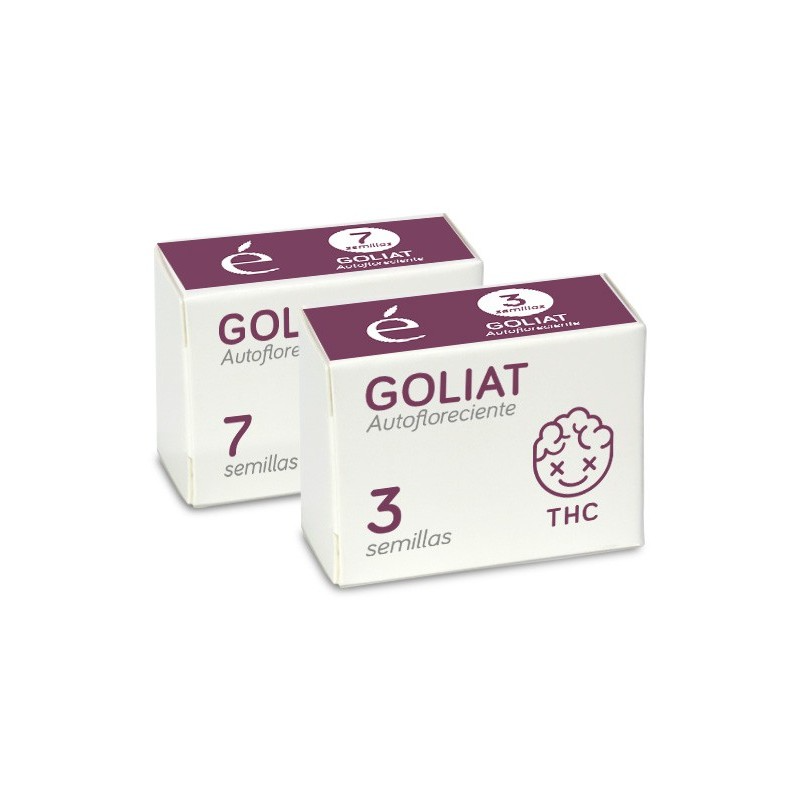 Goliat Auto