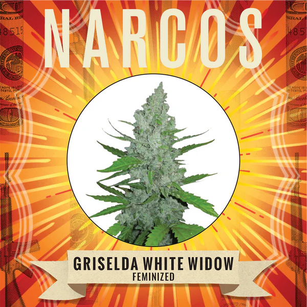 Griselda White Widow