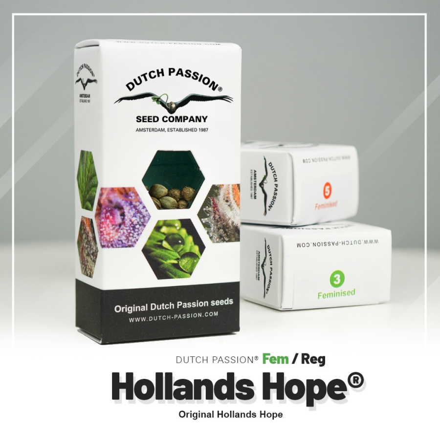 Hollands Hope