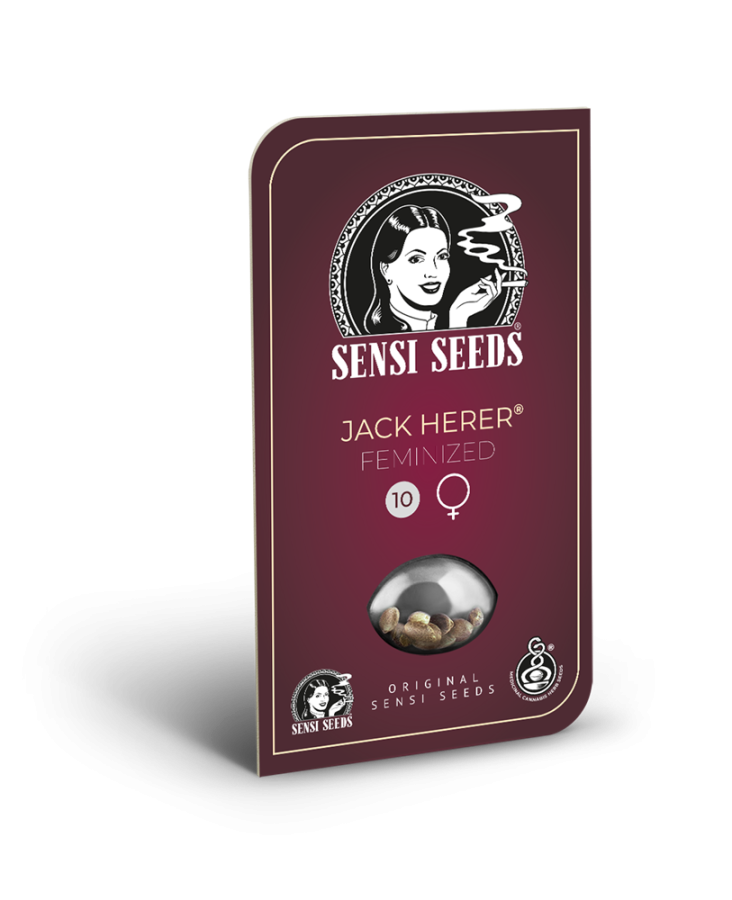 Jack Herer (Sensi Seeds)