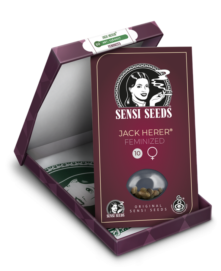 Jack Herer (Sensi Seeds)