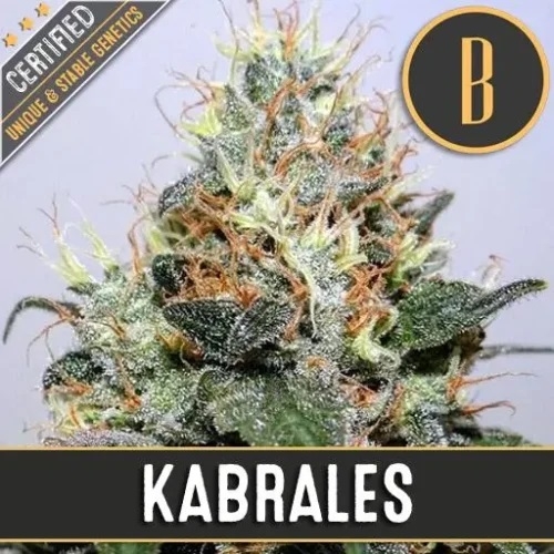 Kabrales