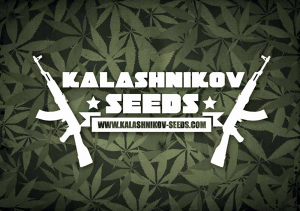 Kalashnikov Express