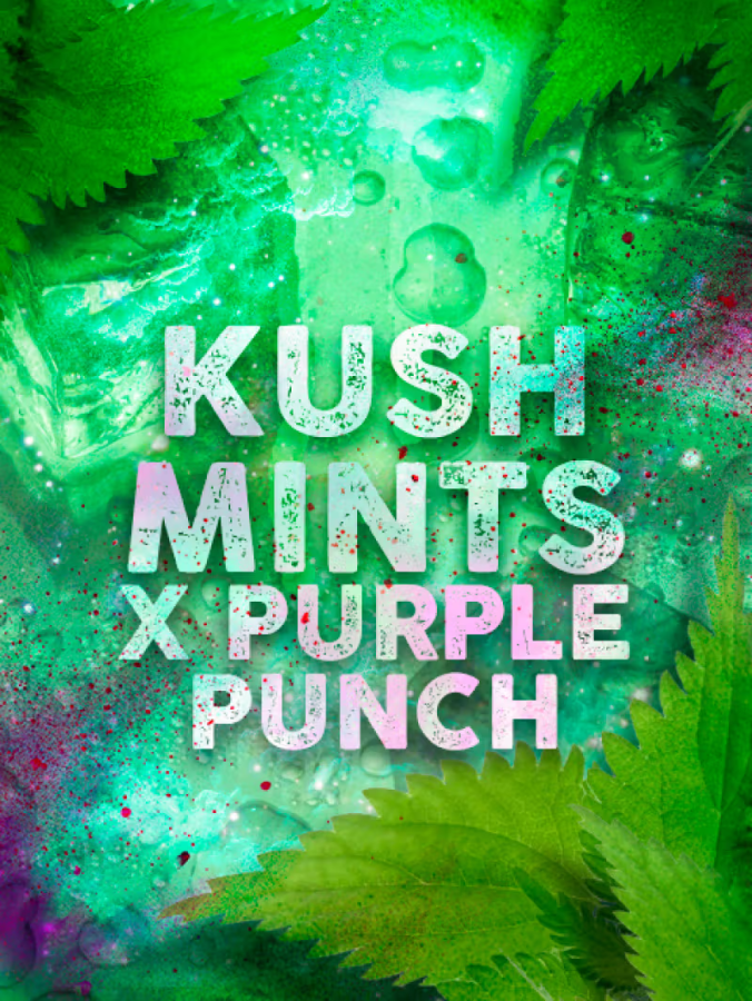 Kush Mintz x Purple Punch