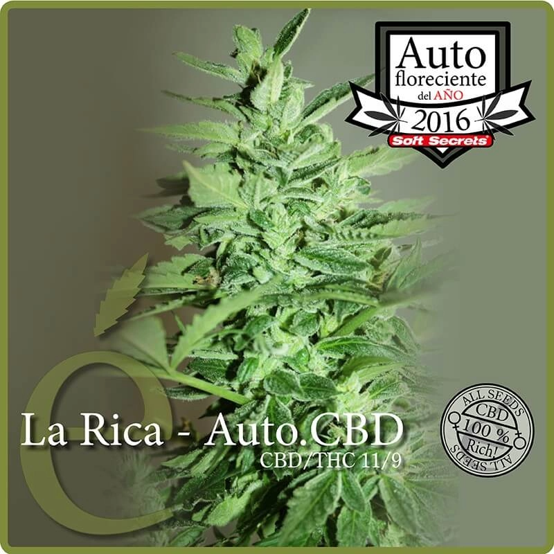 La Rica Auto CBD