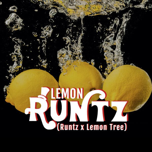 Lemon Runtz