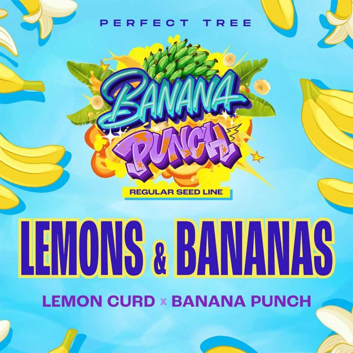 Lemons & Bananas regular