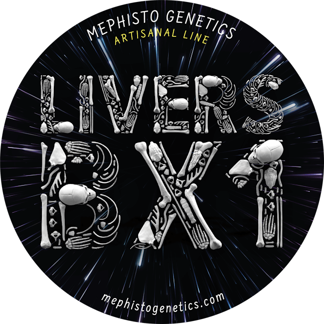 Livers Bx1 Auto