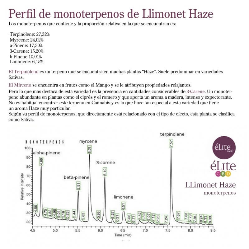 Llimonet Haze Auto CBD