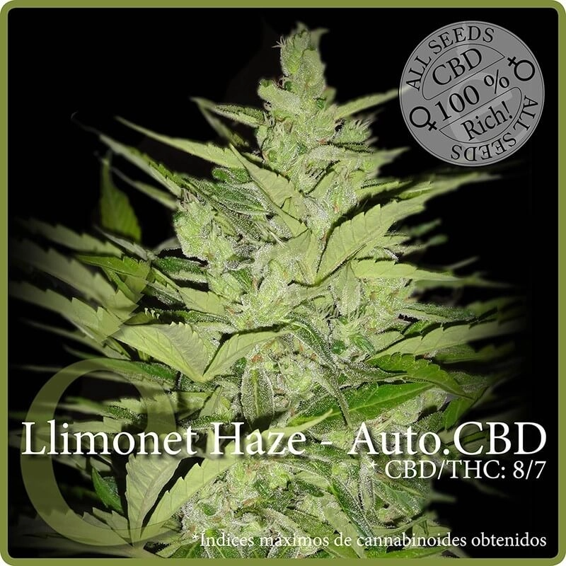 Llimonet Haze Auto CBD