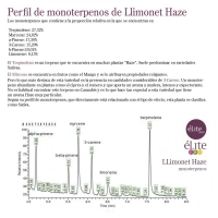 Llimonet Haze Clásica CBD