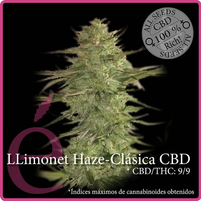 Llimonet Haze Clásica CBD