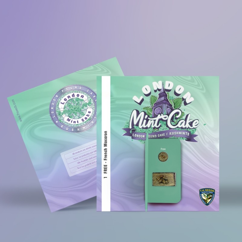 London Mint Cake Special Pack