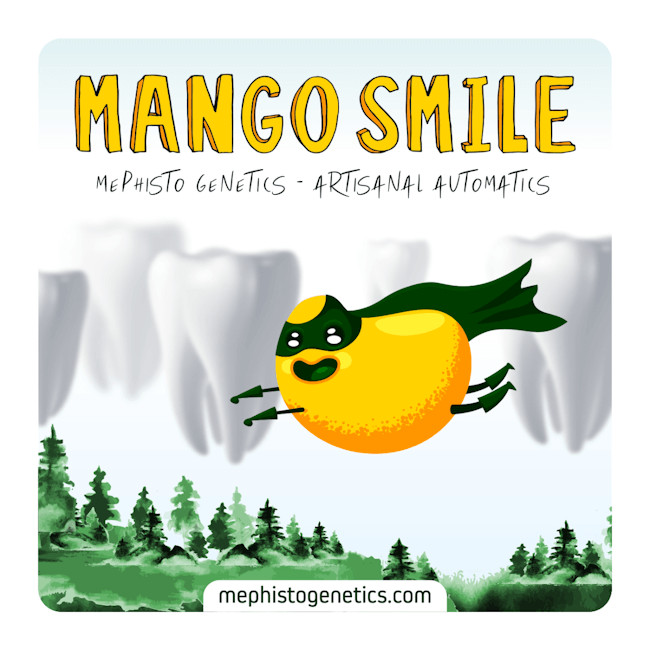 Mango Smile Auto