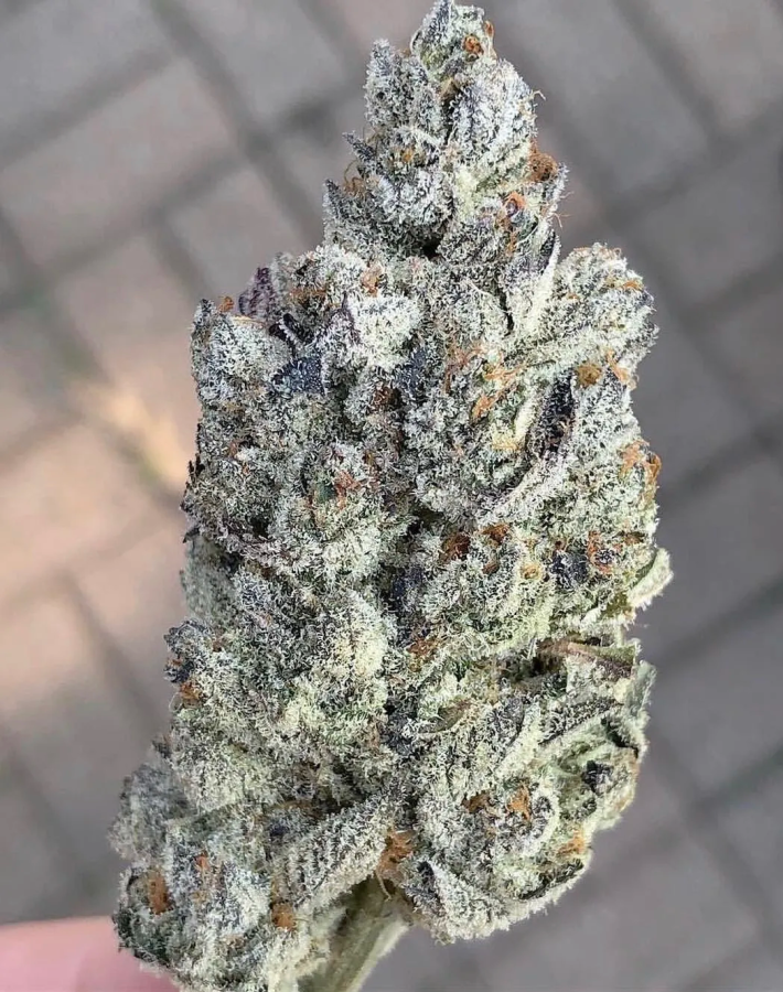 Marshmallow OG