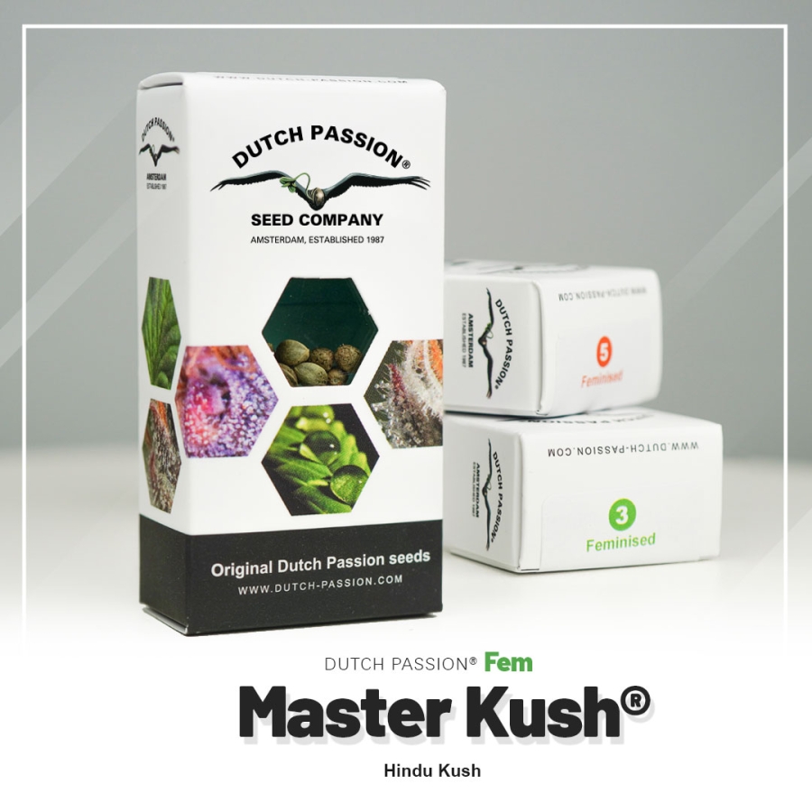 Master Kush (DP)