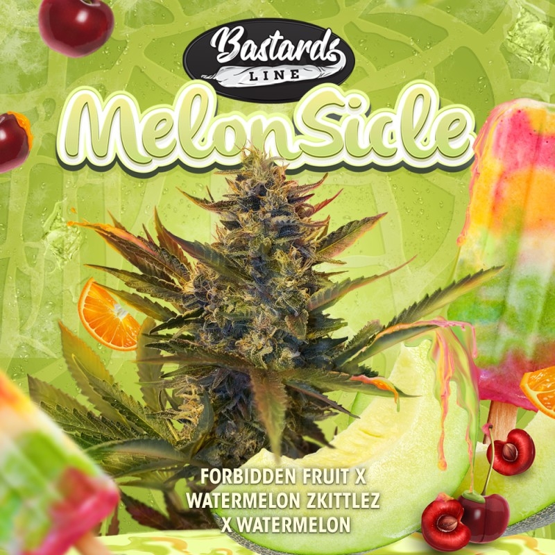 Melonsicle