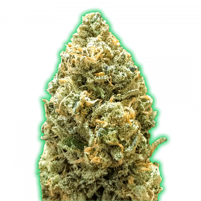 Monster Bruce Banner Auto