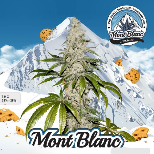 Mont Blanc