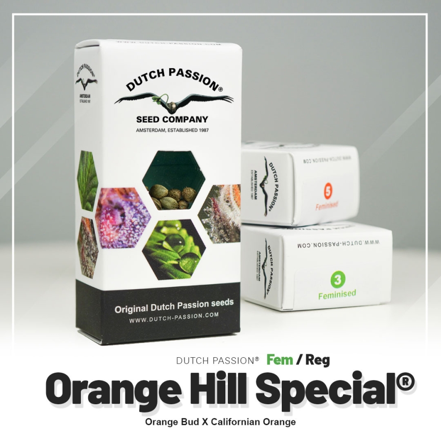 Orange Hill Special