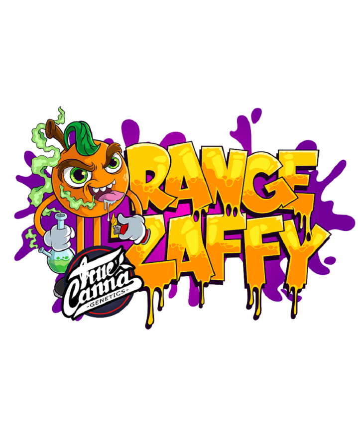 Orange Zaffy