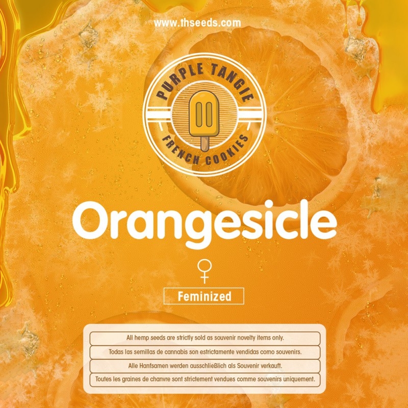 Orangesicle