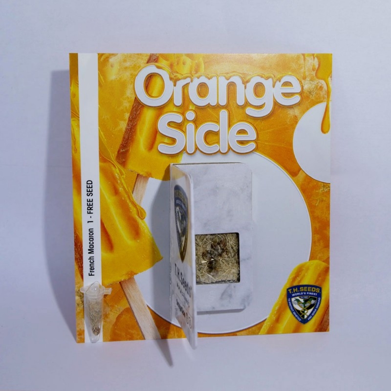 Orangesicle