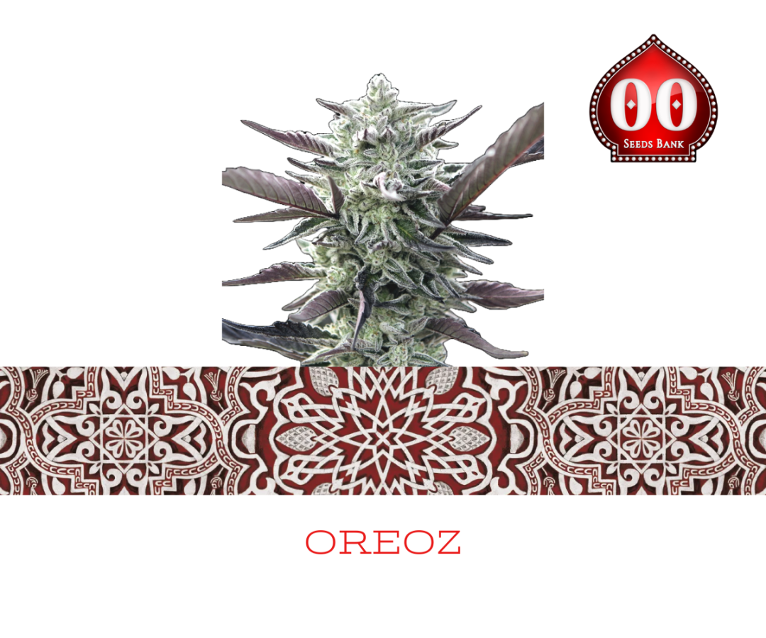 Oreoz (00 Seeds)