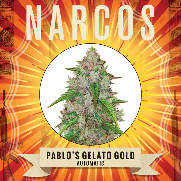 Pablos Gelato Gold Auto