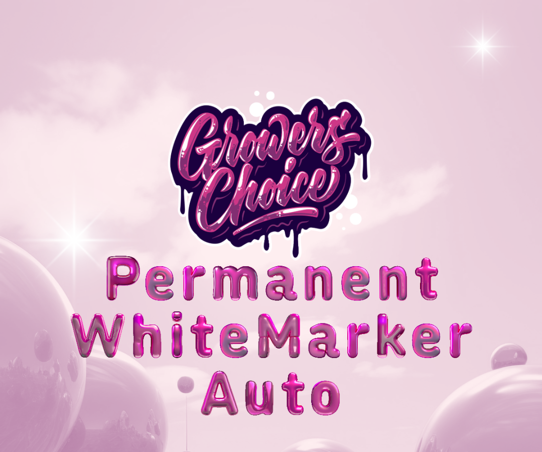 Permanent Whitemarker Auto